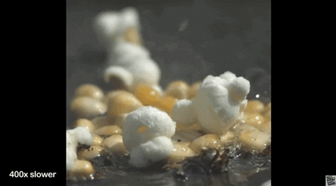 yj_jane giphygifmaker GIF