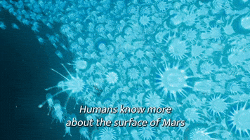 Humans Know More About Mars