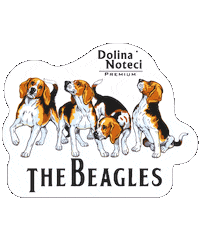 Cat Love Sticker by Dolina Noteci