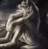 The Wolf Usa GIF