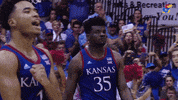 Jayhawks GIF by Kansas Athletics