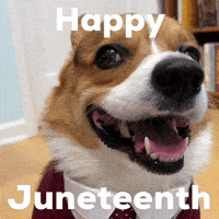 Happy Dog GIF