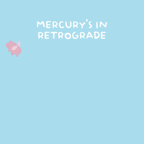 Flying Pig GIF by PositivelyPigasus