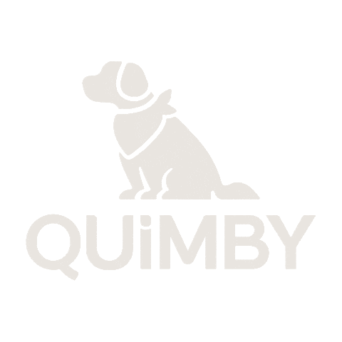 Golden Sticker by Up Baby