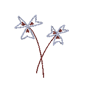 Flower Sticker by Garanceenpapier
