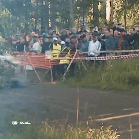 Rallying Rally Finland GIF by FIA World Rally Championship