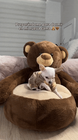 Gangascolombia giphyupload GIF