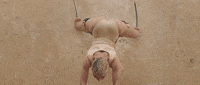 pussy money weed GIF by Tommy Cash