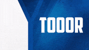 2 Bundesliga Football GIF by Karlsruher SC
