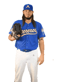 Baseball Champions Sticker by Acereros de Monclova
