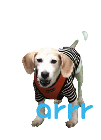 아르르 Sticker by arrr_official