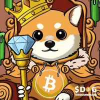 Your Highness Bitcoin GIF by $DOG