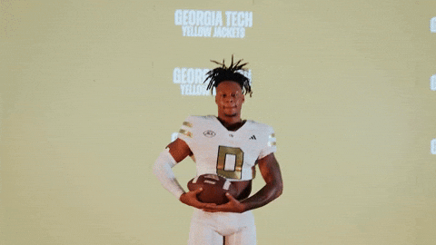 Georgia Tech Football Sport GIF by Georgia Tech Yellow Jackets