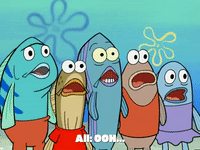 season 6 GIF by SpongeBob SquarePants