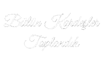 Abi Aile Sticker