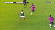 dudu chapeu GIF by SE Palmeiras