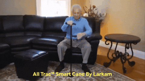 Pengear0 giphygifmaker GIF