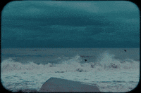 Music Video Acid GIF by Refresh Records