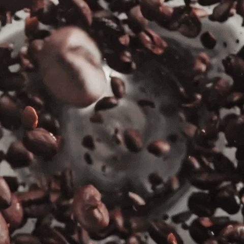 lmcph giphyupload GIF