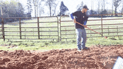 Spring Working GIF by JC Property Professionals