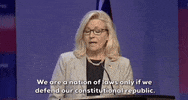 Liz Cheney Gop GIF by GIPHY News