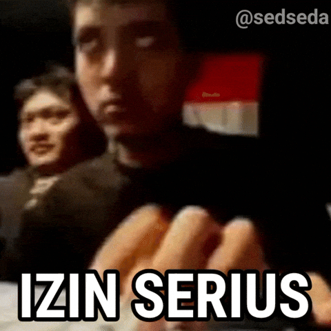 Sedseda GIF