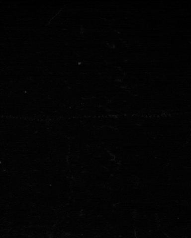 kristoffedwards6e5ea3e1172046308acecff5e3177586 giphyupload GIF