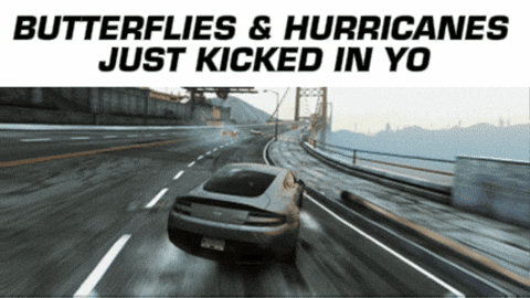 Ryve_Ethan giphygifmaker peak butterflies hurricanes GIF