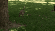 Happy Holiday GIF by Minnesota State University Moorhead