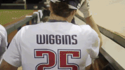 usssapride softball fastpitch usssa npf GIF