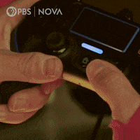 Pbs Biology GIF by WGBH Boston