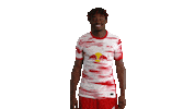 Football Soccer Sticker by RB Leipzig