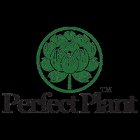 perfectplanthempco hemp company perfectplant perfect plant perfectplanthempco GIF