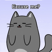Excuse Me Shock GIF by MESA My Emotional Support Animal