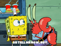 season 6 boating buddies GIF by SpongeBob SquarePants