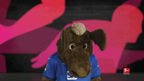 Look Up Tsg Hoffenheim GIF by Bundesliga