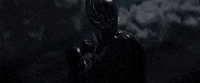 black panther GIF by ScreenJunkies