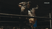 oh my god omg GIF by THE WRESTLERS