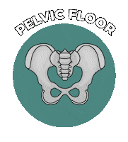 Pelvic Floor Sticker by Nancy Anderson Fit