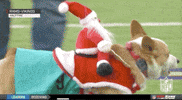 Football Sport GIF by NFL