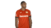 Come On Waiting Sticker by Bundesliga