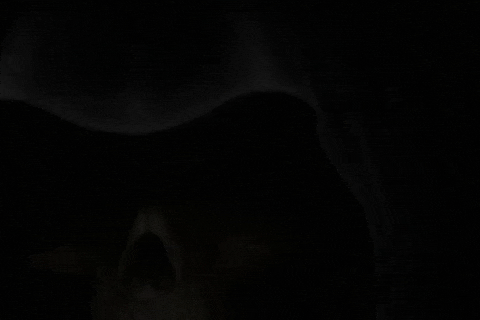 Hip-Hop Rap GIF by Now Entertainment