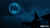 Dc Comics Batman GIF by Max