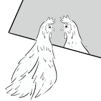 Galinha Sticker