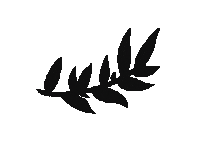 Beauty Tattoo Sticker