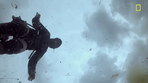 Bear Grylls GIF by National Geographic Channel