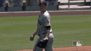 Regular Season Reaction GIF by MLB