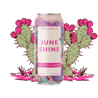 Whitney Cummings Drink Sticker by JuneShine