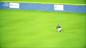 usssapride softball fastpitch usssa npf GIF