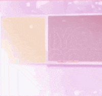 Valentines Day Love GIF by RIOT MUSIC